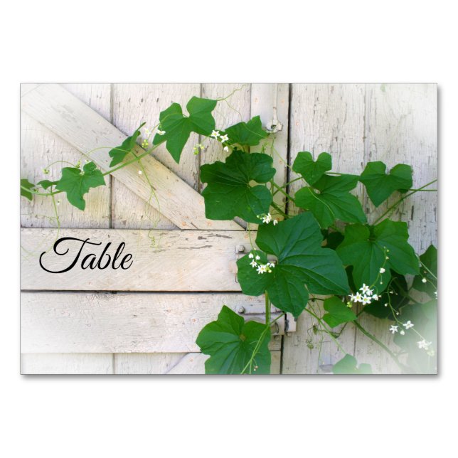Cartes de table de vigne sauvage (Devant)