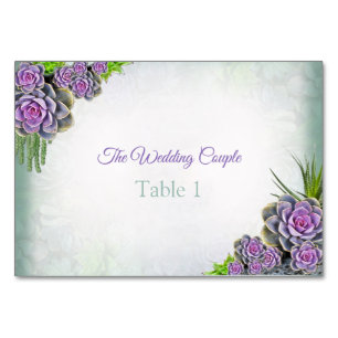 Cartes de tableau violet, teintes succulentes du v