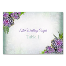 Cartes de tableau violet, teintes succulentes du v