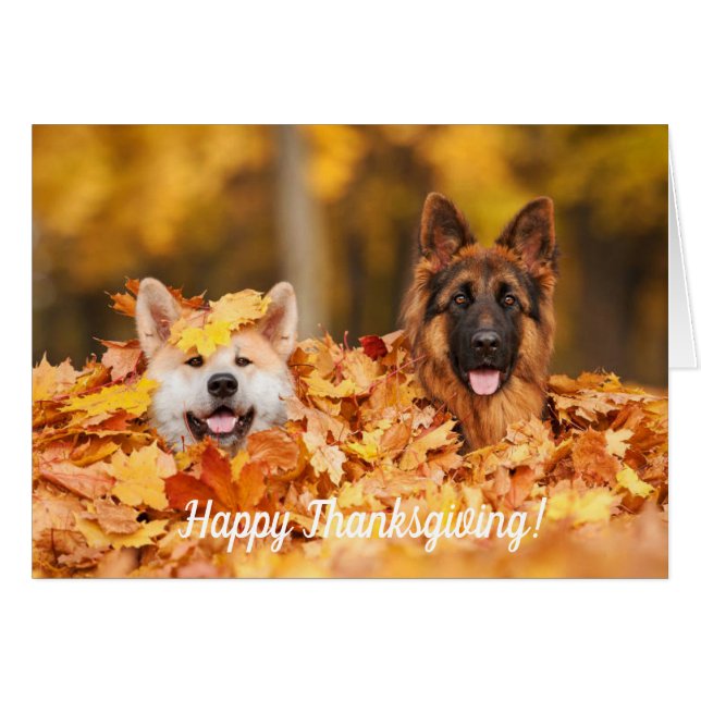 Cartes de thanksgiving de feuille et de chiens | (Devant horizontal)
