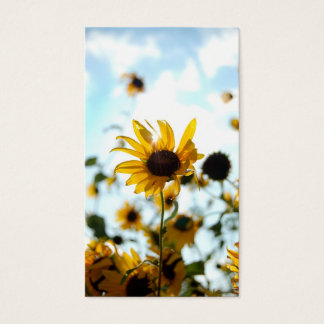 Cartes de tournesol
