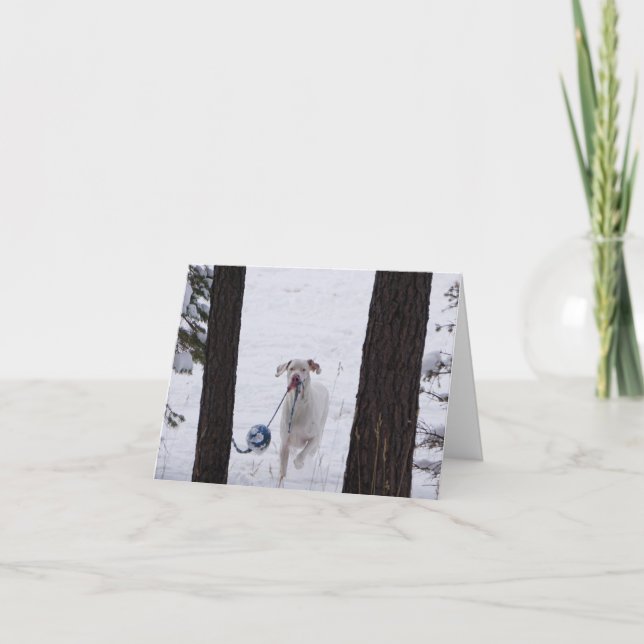 Cartes de vacances (Devant)