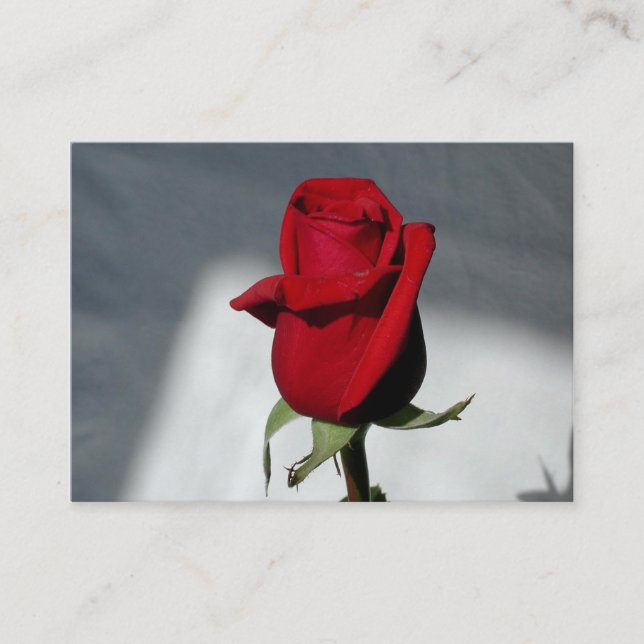 Cartes de visite (Devant)