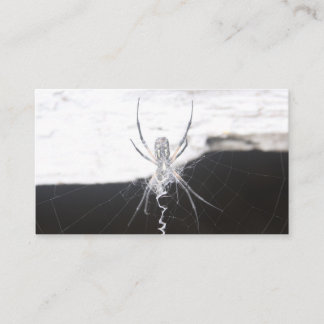 Cartes de visite araignée