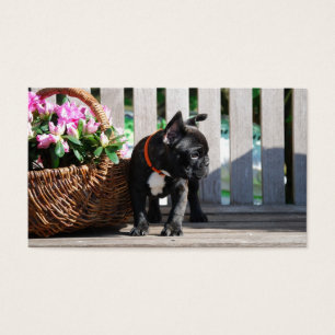 Cartes de visite Bouledogues Français