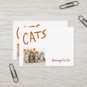 Cartes de visite, Cartes de visite de pattes de ch