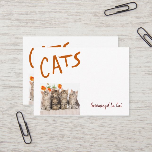 Cartes de visite, Cartes de visite de pattes de ch (Devant/Arrière en situation)