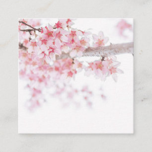  CARTES DE VISITE: CHERRY BLOSSOMS