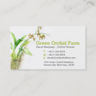 Cartes de visite d'art de cultivateur