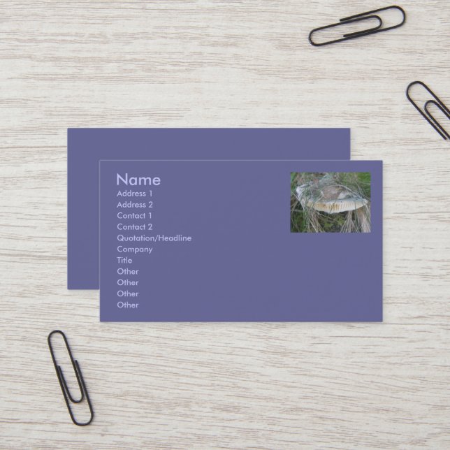 Cartes de visite de champignons Sandbank (Devant/Arrière en situation)
