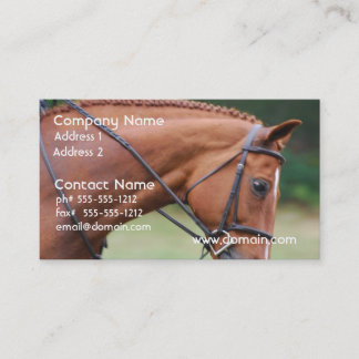 Cartes de visite de cheval d'exposition de