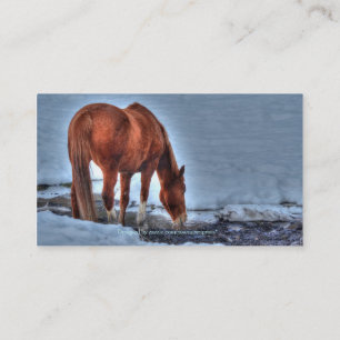 Cartes de visite de Chevaux à outils en cuir,  de 