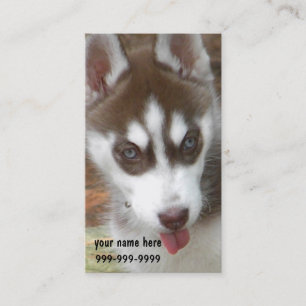 Cartes de visite de chiot de chien de traîneau