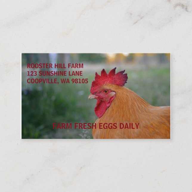 CARTES DE VISITE DE COQ DE FARMSTYLE (Devant)