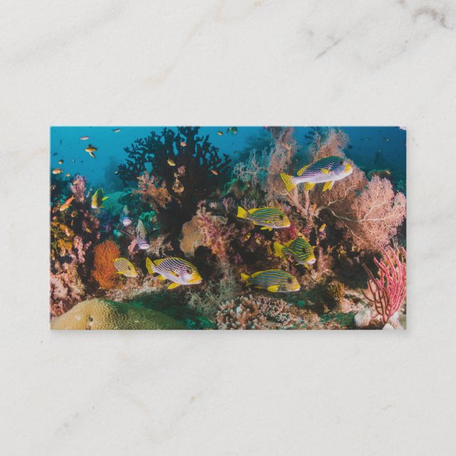Cartes de visite de coutume de récif coralien (Devant)