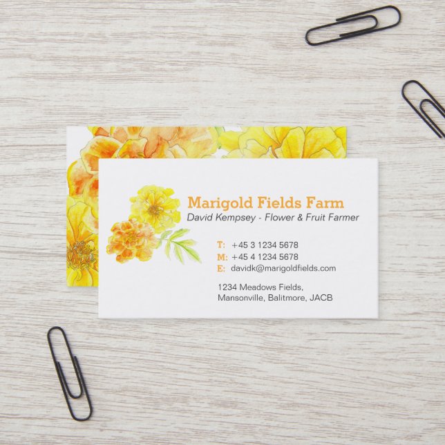 Cartes de visite de cultivateur (Devant/Arrière en situation)