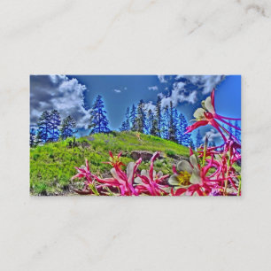 Cartes de visite de fleurs de columbine rose vibre