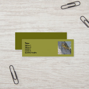 Cartes de visite de grenouille