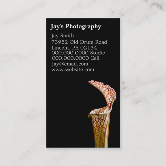 Cartes de visite de la photographie florale (Devant)