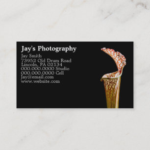Cartes de visite de la photographie florale