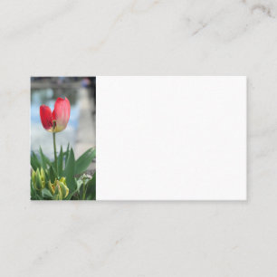 Cartes de visite de la Tulipe rouge