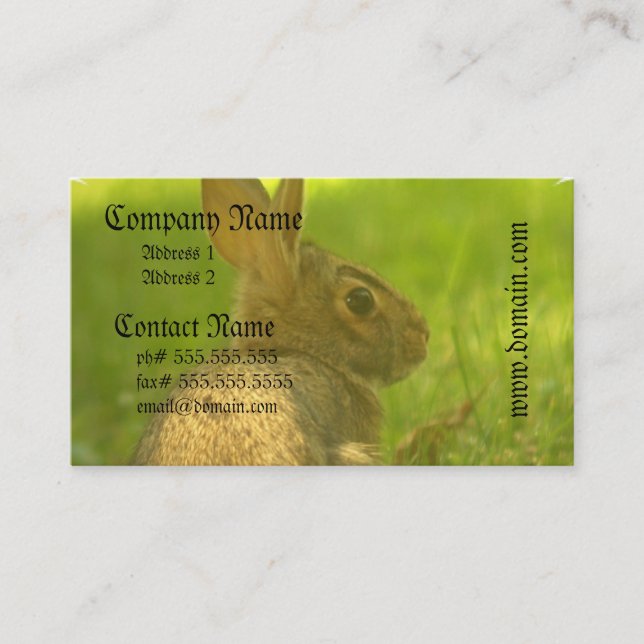 Cartes de visite de lapin (Devant)