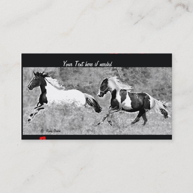 Cartes de visite de Pinto (Devant)