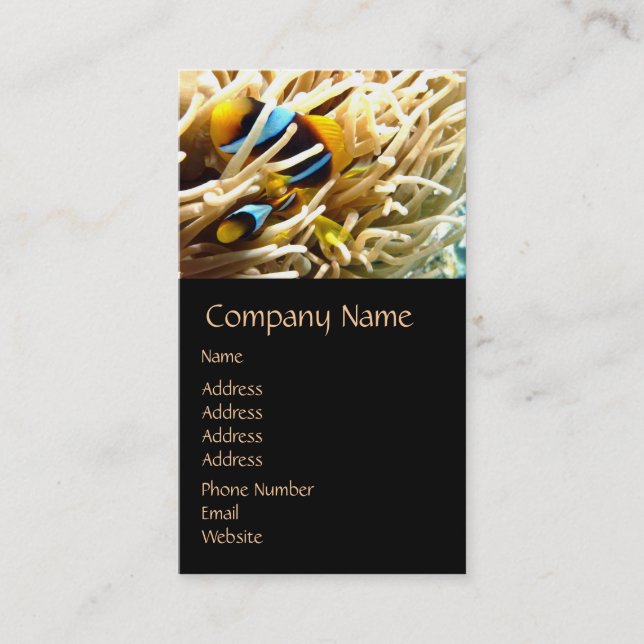 Cartes de visite de poissons clowns (Devant)