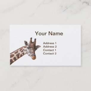 Cartes de visite de portrait de girafe