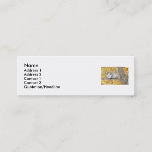 Cartes de visite de profil d'opossum