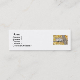 Cartes de visite de profil d'opossum