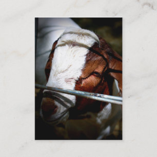 Cartes de visite de ranch de montagne