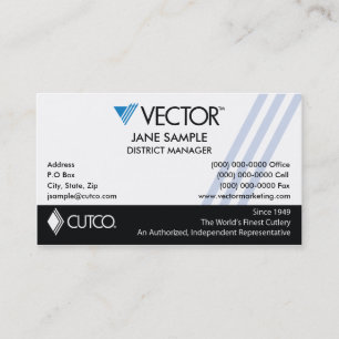 Cartes de visite de représentant et de directeur