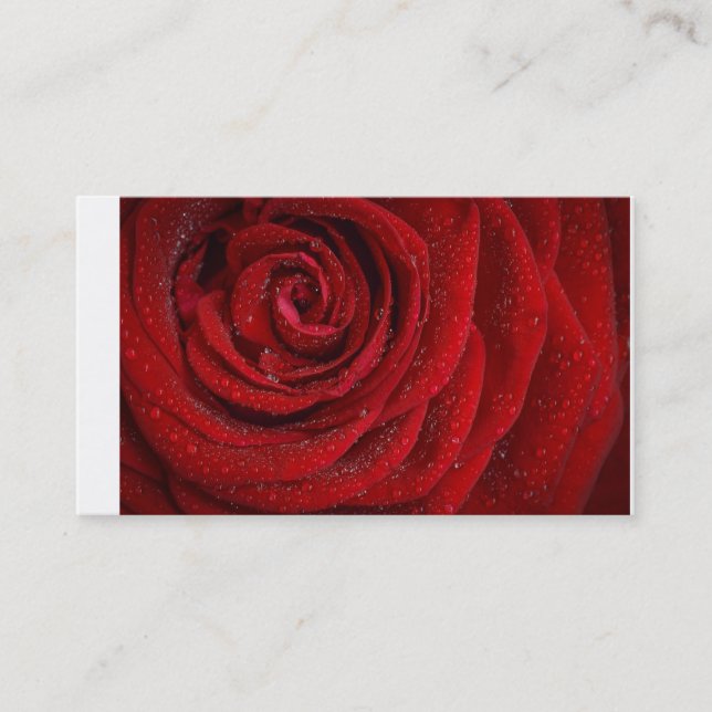 Cartes de visite de roses rouges (Devant)