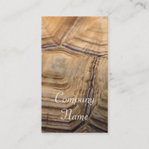 Cartes de visite de Shell de tortue