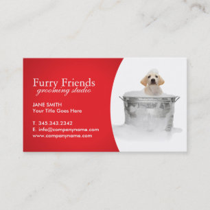 Cartes de visite de soin des animaux familiers