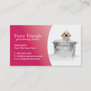 Cartes de visite de soin des animaux familiers