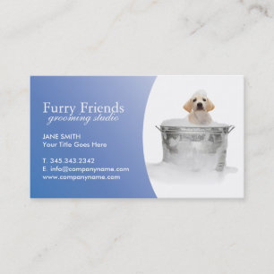 Cartes de visite de soin des animaux familiers