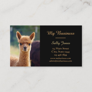 Cartes de visite de soin des animaux familiers