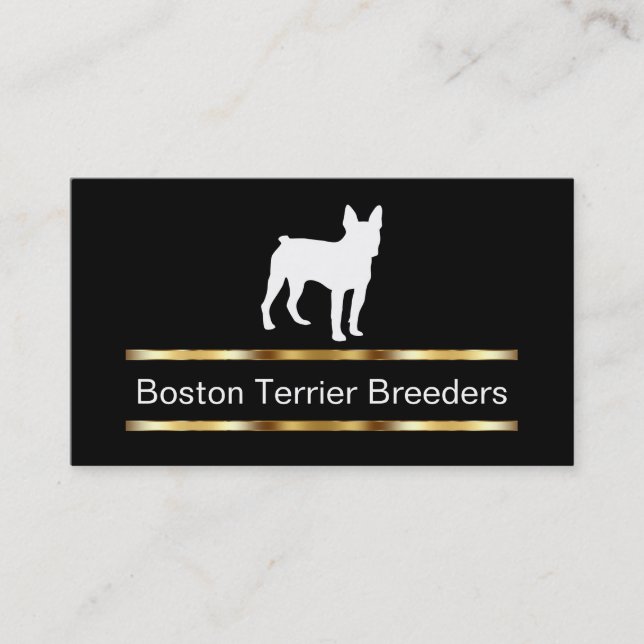 Cartes de visite d'éleveur de chiens de Boston (Devant)