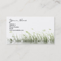 Cartes de visite d'herbe de marais