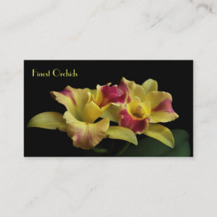 Cartes de visite d'orchidée de Cattleya
