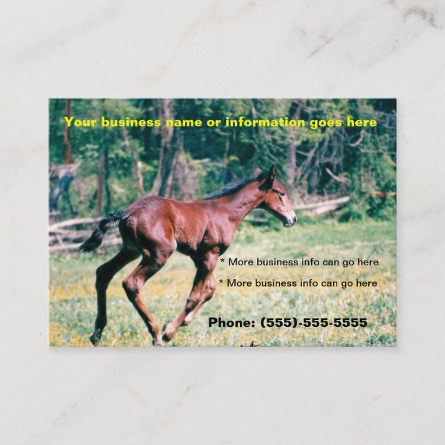 Cartes de visite du galop de poulain de cheval (Devant)