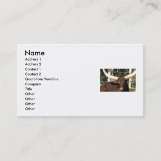 Cartes de visite du TEXAS LONGHORN