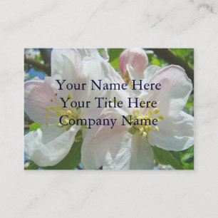 Cartes de visite Fleurs de pommier en fleurs