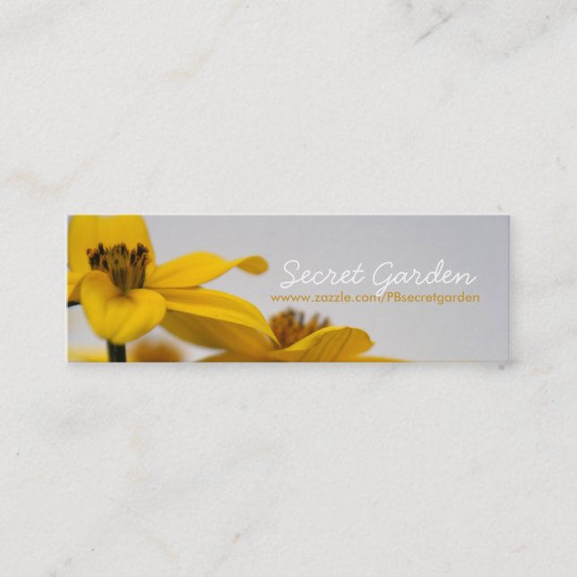 Cartes de visite floraux de photographie de Bidens (Devant)