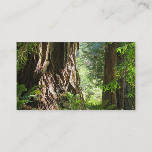 Cartes de visite Grand-père Arbres Redwood