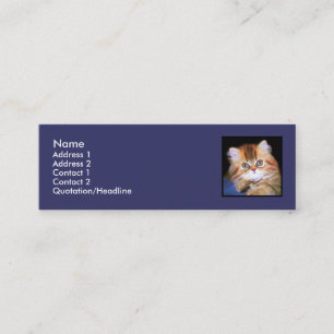 Cartes de visite maigres de chaton tigré