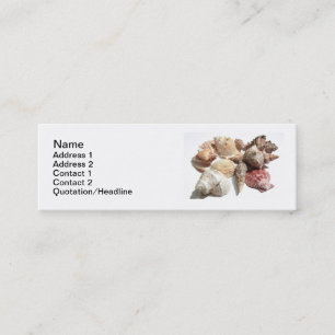 Cartes de visite maigres de coquillages