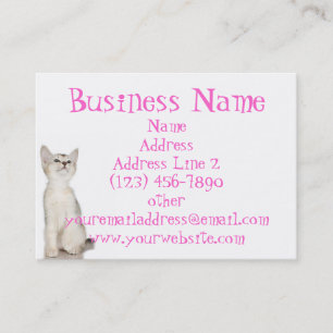 Cartes de visite mignons de chaton